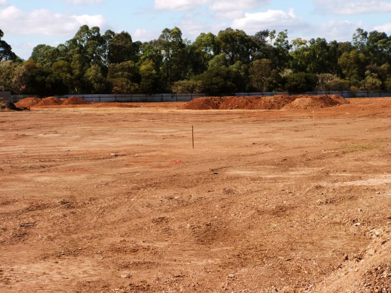 Before Land Clearing