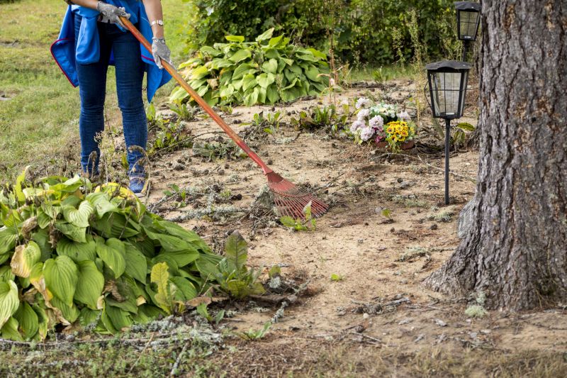 Environmental Land Clearing Services