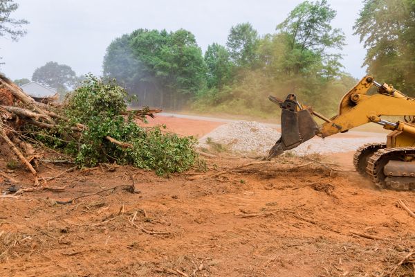 Cost of Ground Clearing in Heber City