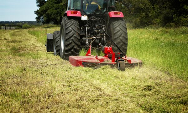 Cost of Brush Clearing Service in Heber City