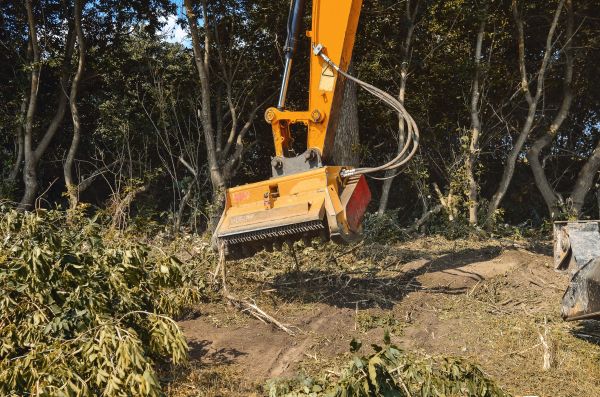 Cost of Brush Removal Service in Heber City