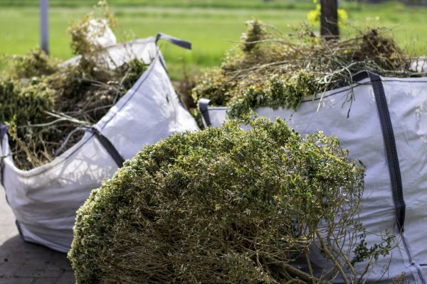 Cost of Bushes Clearing in Heber City