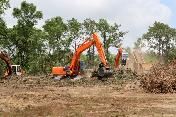 Cost of Commercial Lot Clearing in Heber City